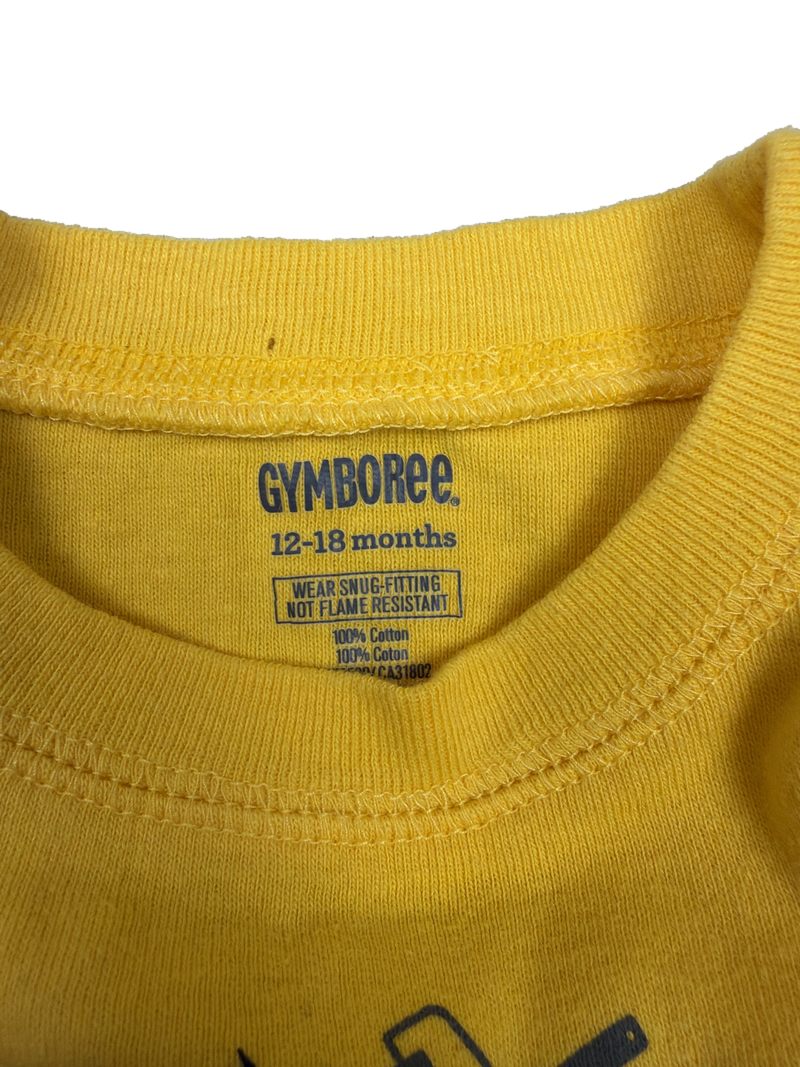 Gymboree ‘nailed it’ top — Tag / detail